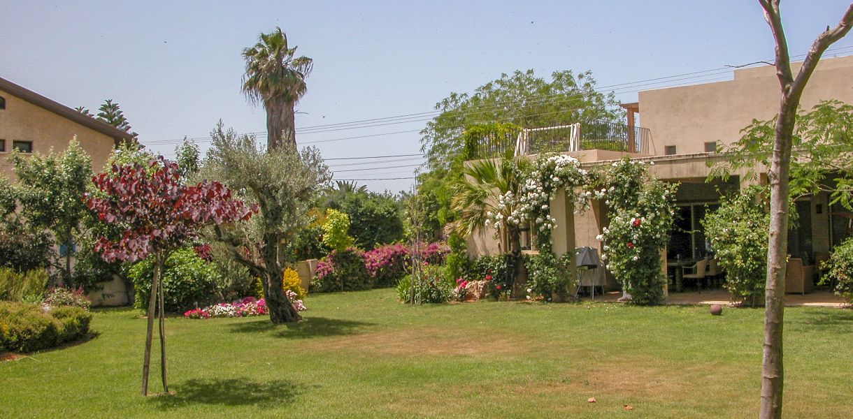 תמונה גדולה (1)