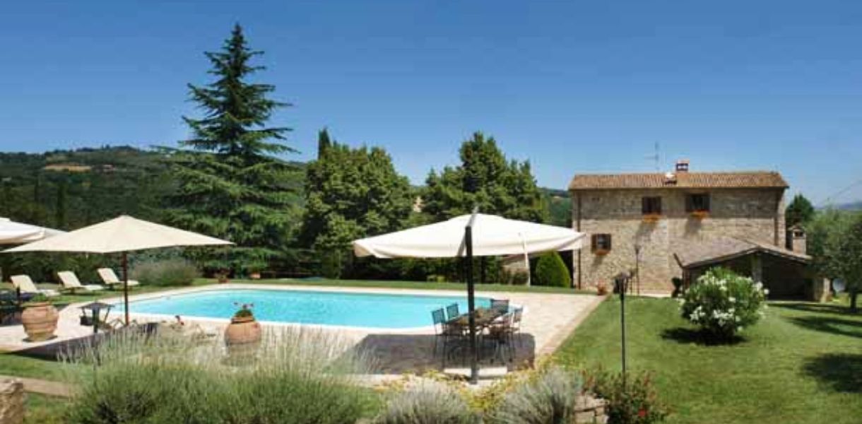 תמונה גדולה (1)