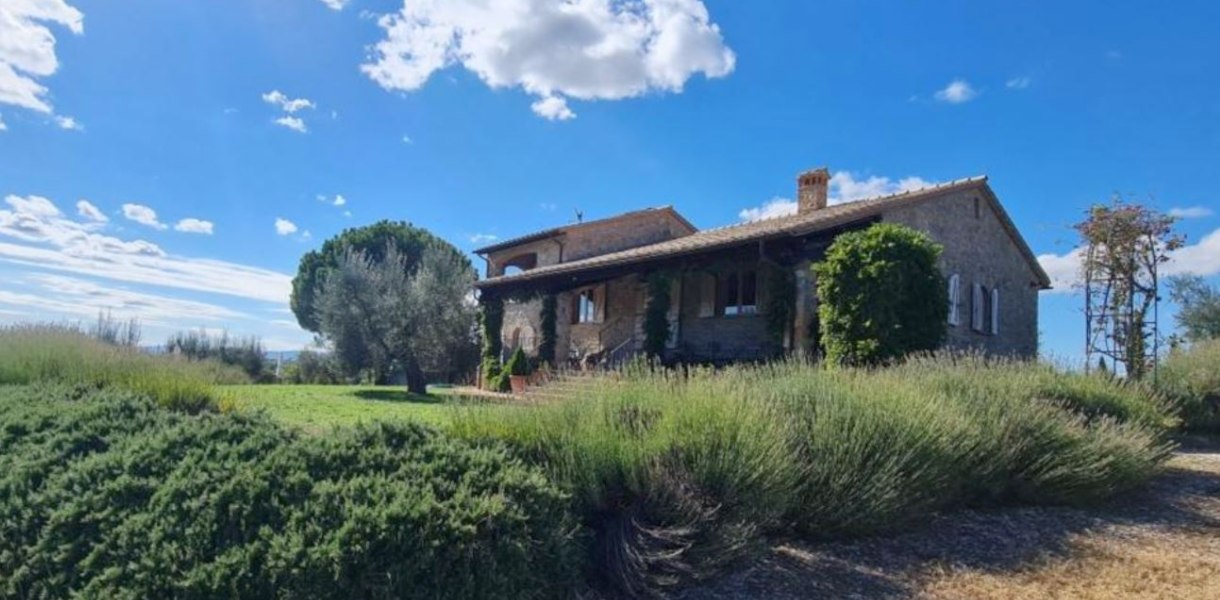 תמונה גדולה (1)