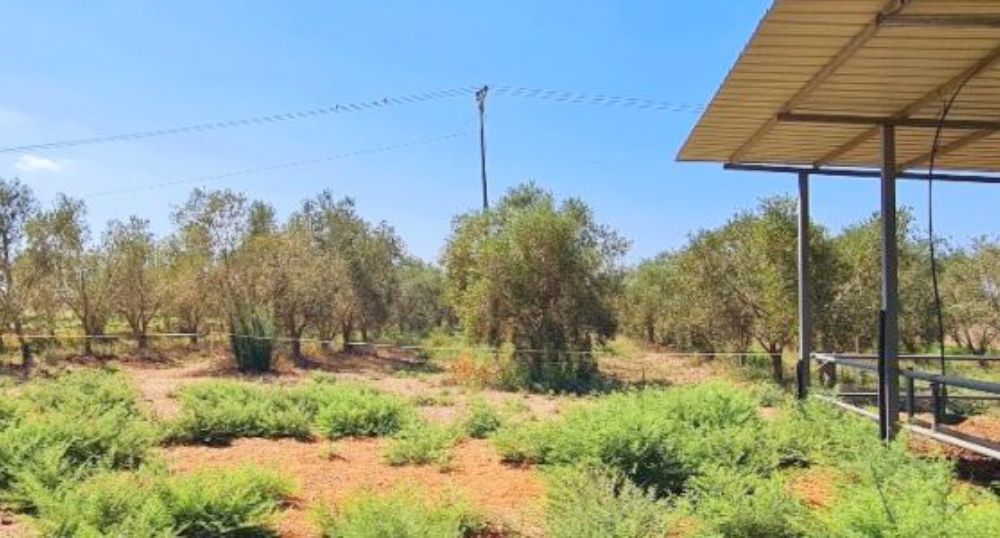 תיקון ג5 (1) (1)